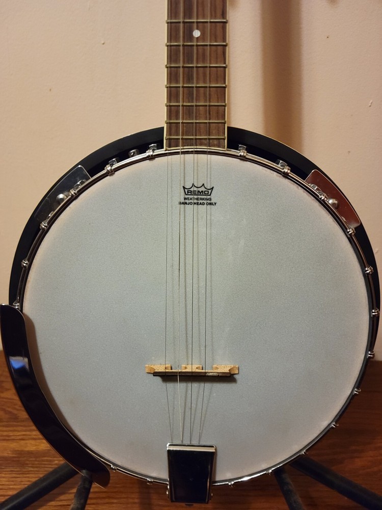 Ibanez Banjo with Case