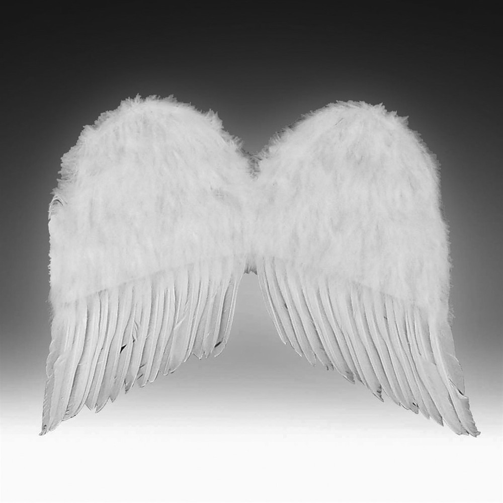 Feather Wings - Rubie's