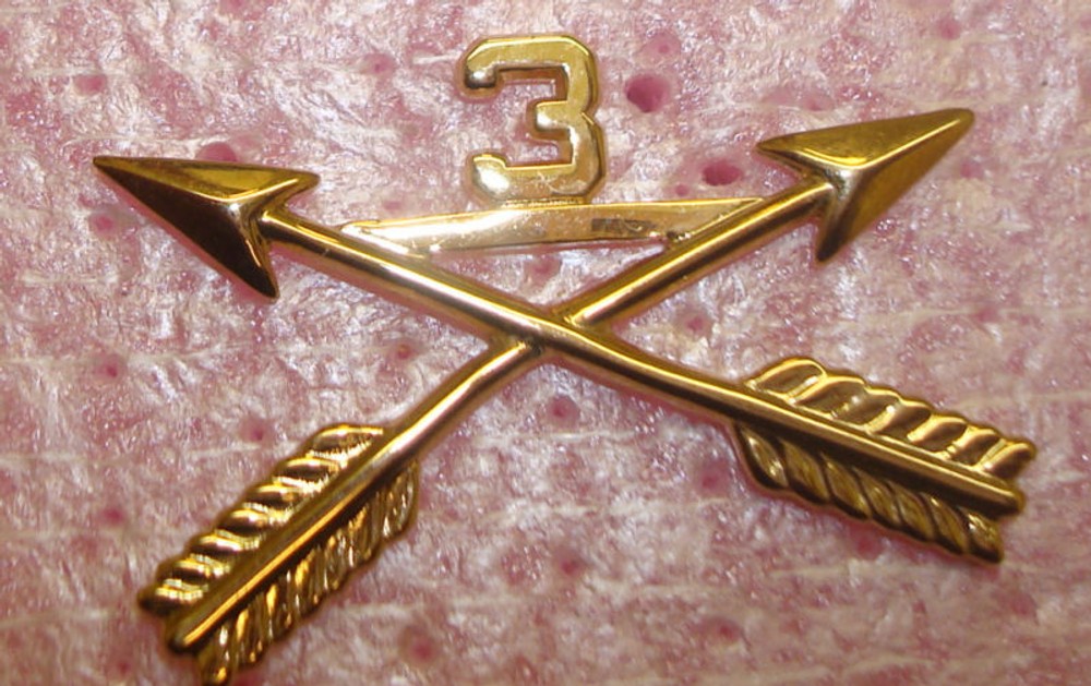 3RD SPECIAL FORCES GROUP .OFFICER DEVISE