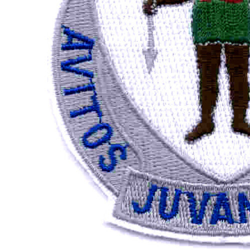 182nd Infantry Regiment Patch