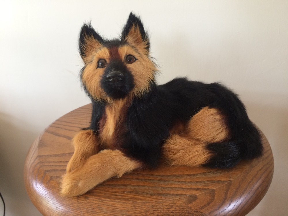 GERMAN SHEPHERD REAL FUR MODEL