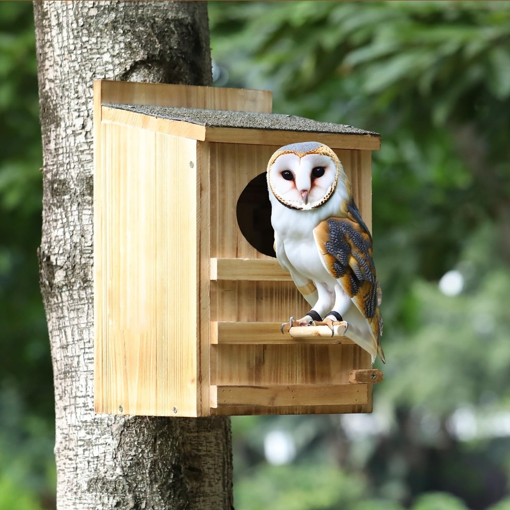 Screech Owl House Large Cedar Weatherproof Prebuilt Box Outside Nesting Mount