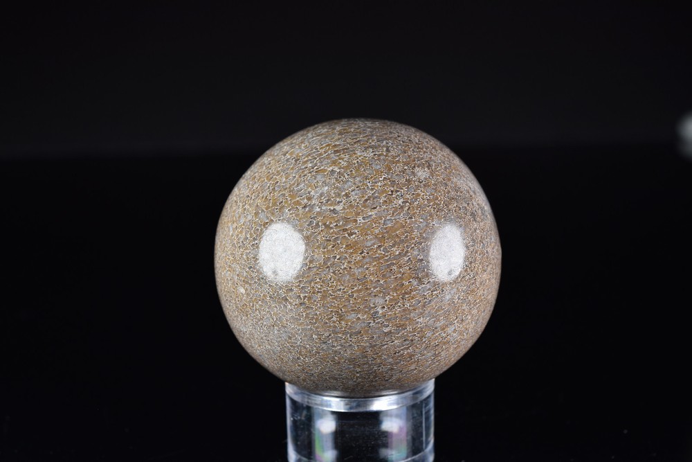 Dinosaur Bone Sphere from Morocco 7.6 cm # 20121