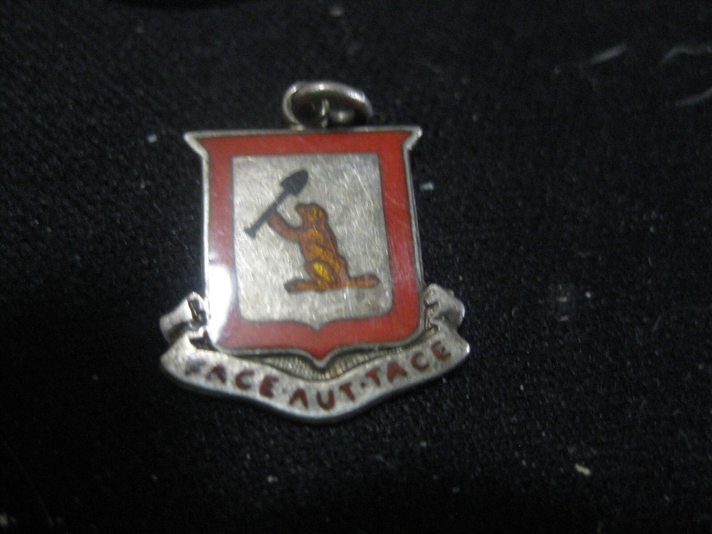 Sterling Silver "Face Aut Tace" Colored Charm