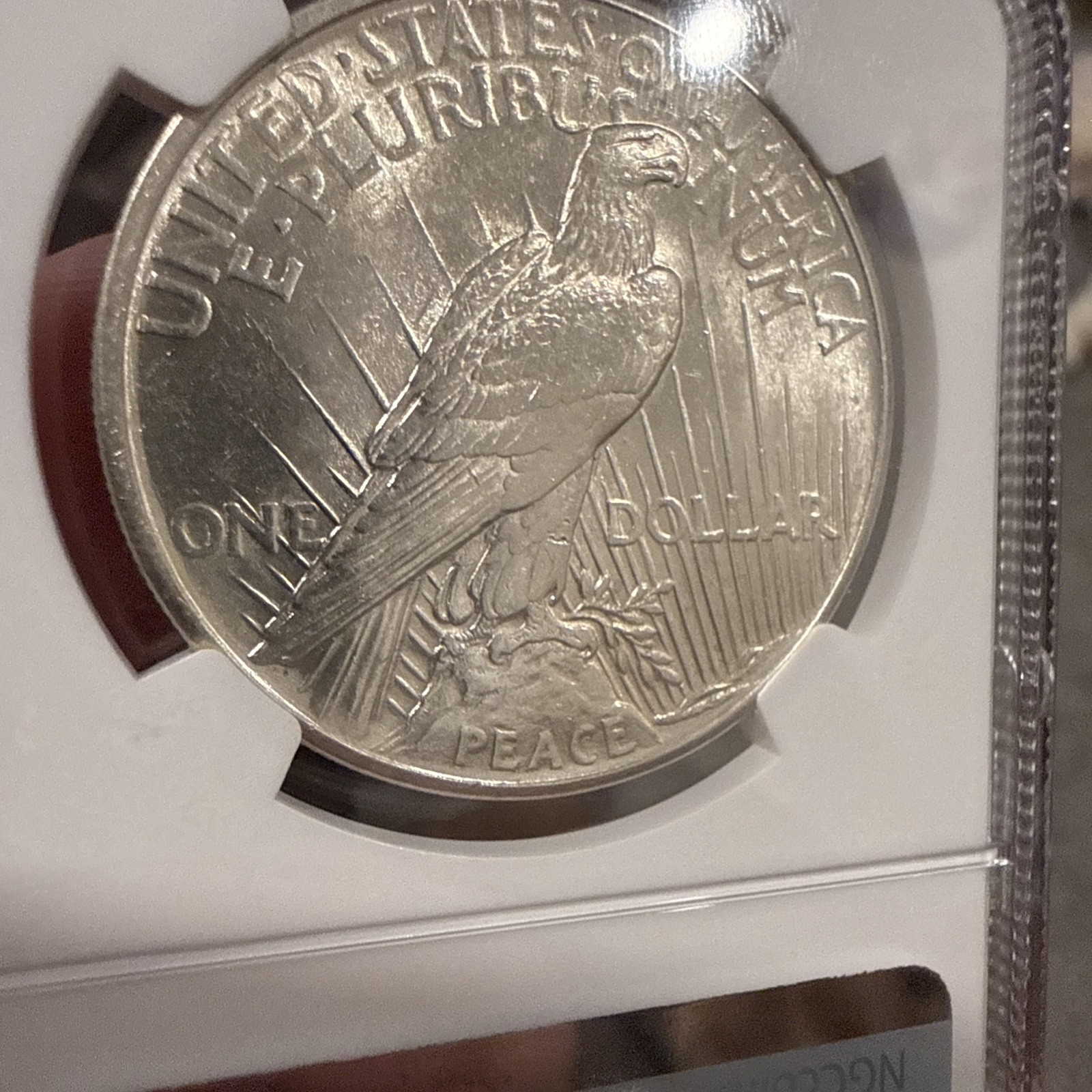 1921 PEACE DOLLAR HIGH RELIEF NGC MS 62 BRIGHT WHITE