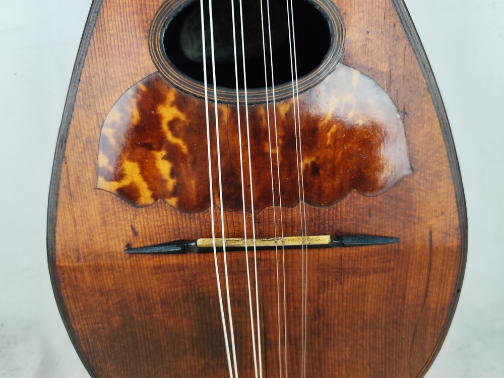 Mandolin 4/4 Michele Maratea (1894) Naples 曼陀林 만돌린マンドリン