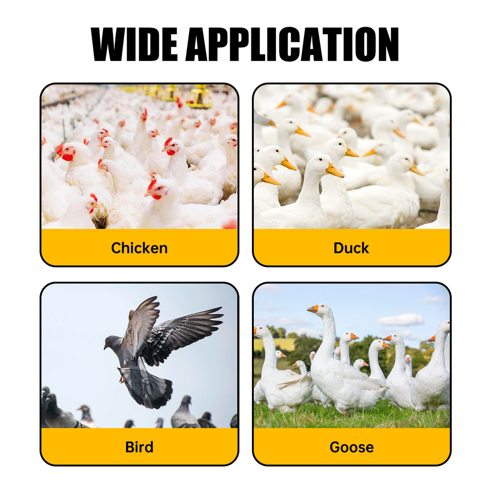 10pcs Poultry Water Drinking Cups Chicken Hen Plastic Automatic Drinker Feeder