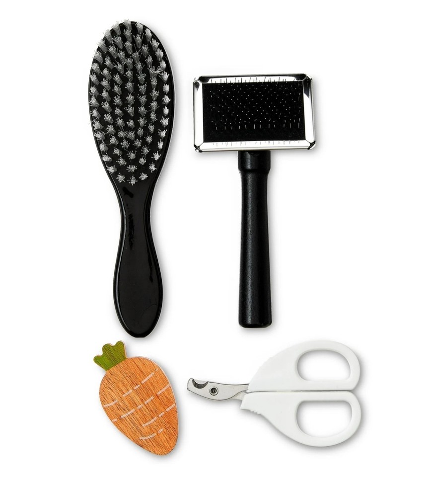 Small Animal Grooming Kit