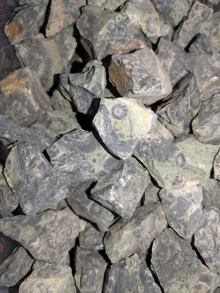 Kambaba Jasper 1 lb Rough Rocks For Tumbling
