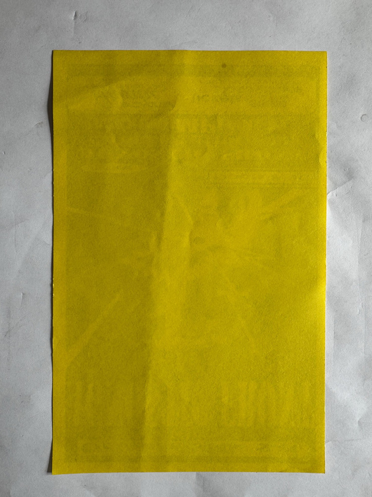 original 1998 AGNOSTIC FRONT, DROPKICK MURPHYS, St Petersburg FLA 8"x5"