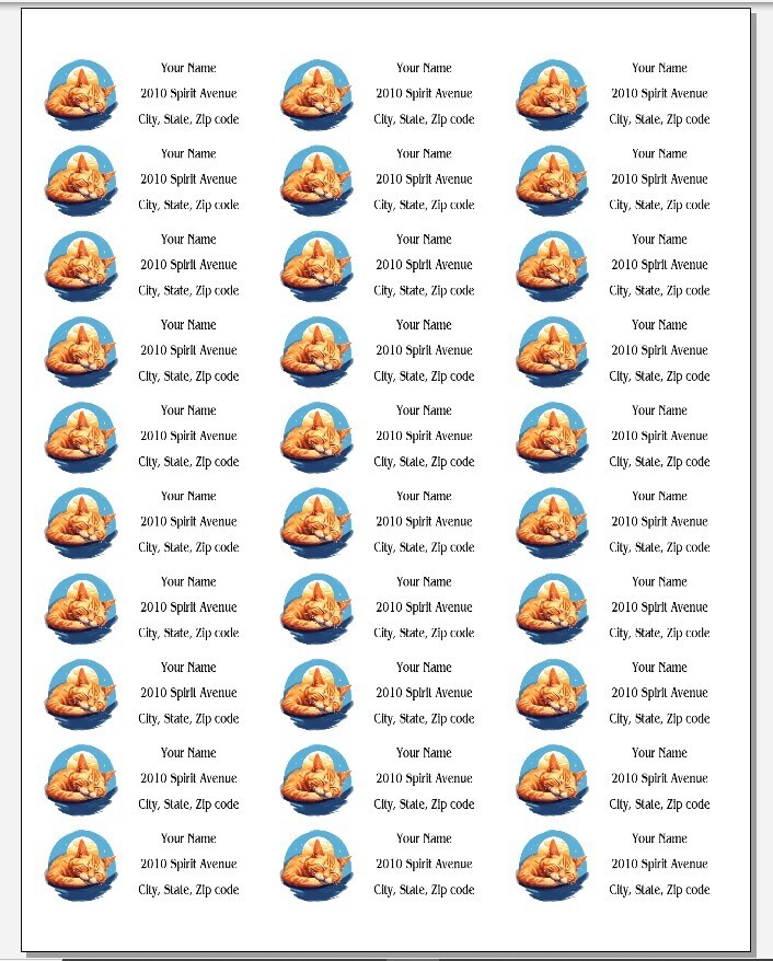 150 Sleeping Sleepy Ginger Orange Cat Mailing Return Address Labels Personalize