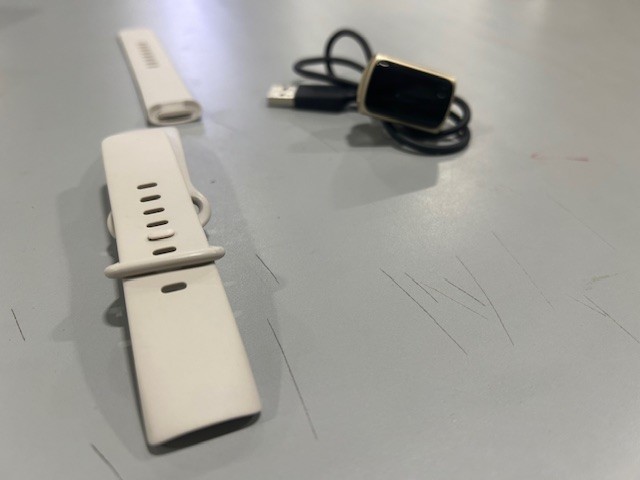 FITBIT CHARGE 5 WHITE BAND SILVER WATCH - WHITE/SILVER
