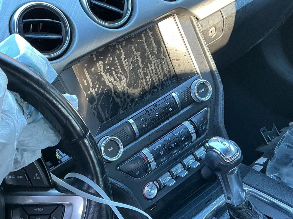 MUSTANG 2019 Glove Box 4926328