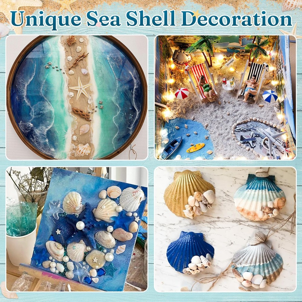 23 Types Small Sea Shells for Crafts, 1200 Pcs Tiny Seashells with Mixed Size...