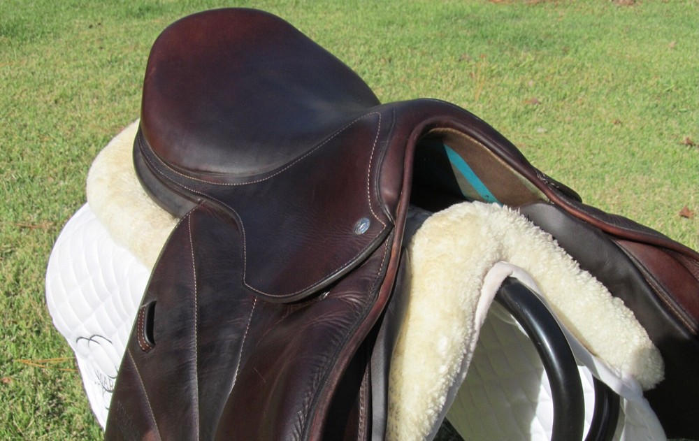 17.5" VOLTAIRE BLUE WING close contact jumping saddle-THIN FRONT PANEL 2017