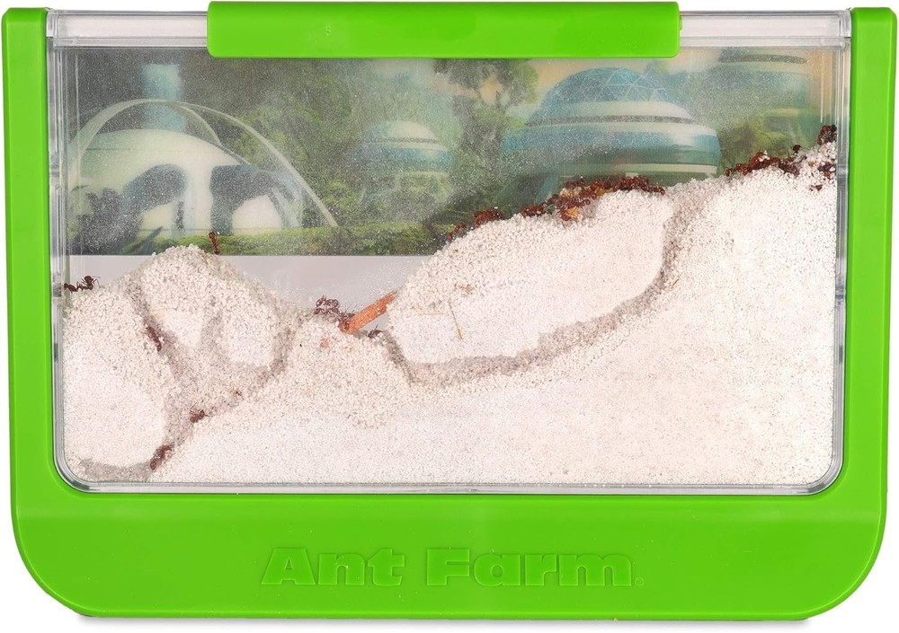 Antopia Rainforest Ant Habitat: Live Ant Observation & STEM Learning Toy