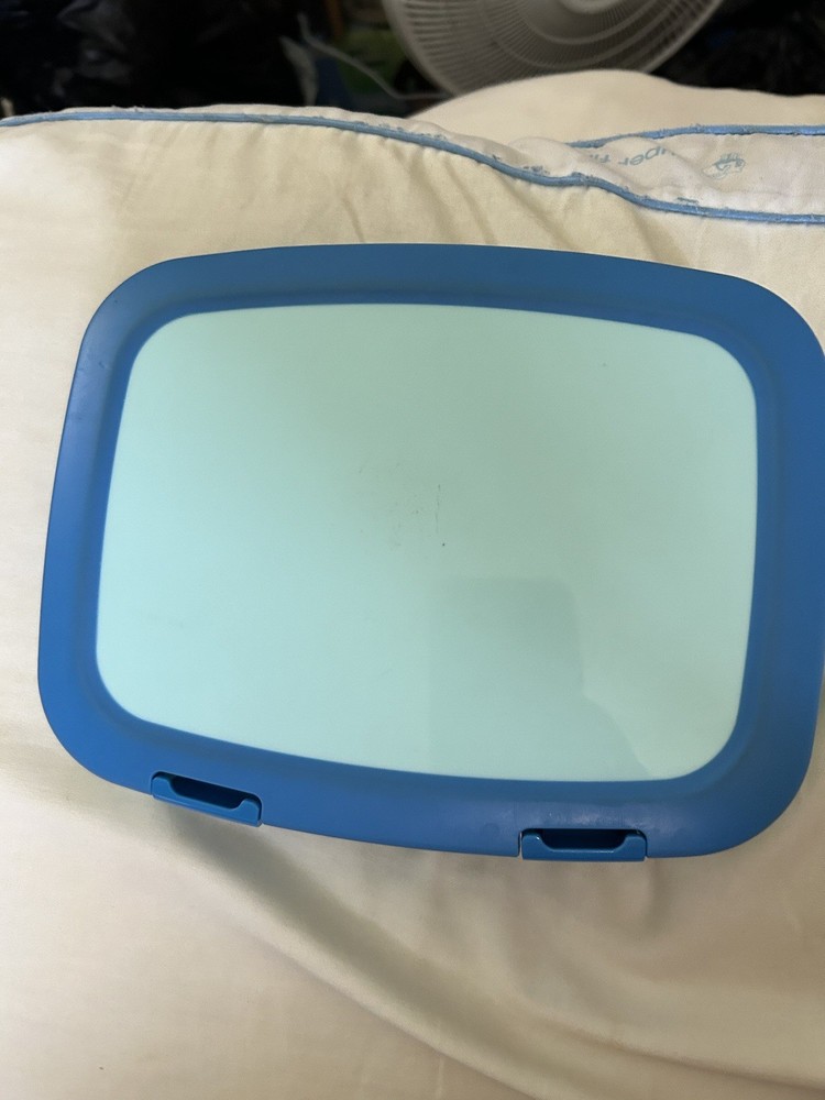 Bentgo Lunch Box Blue!