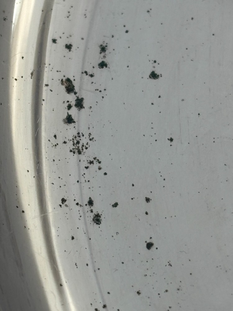 Castleton International Silver Co Vegetable Server with Lid 4812 Gadroon Border