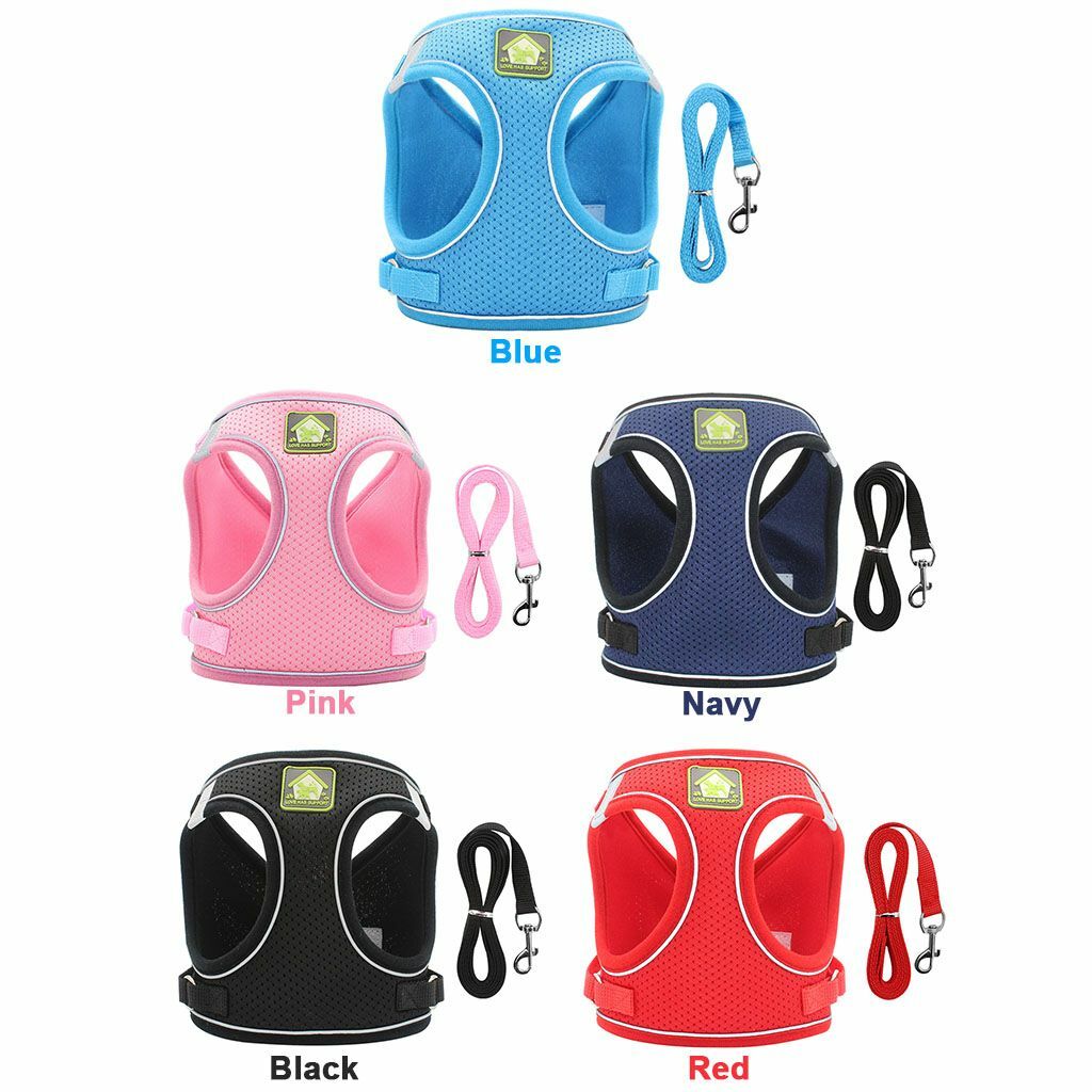 Mesh Padded Dog Harness & Leash Pet Puppy Vest for Small Medium Dogs Chihuahua