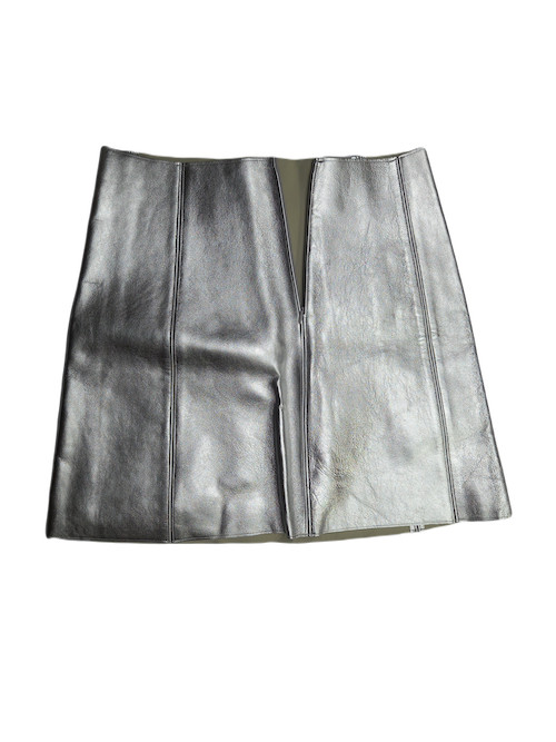 Sliver Mini Skirt