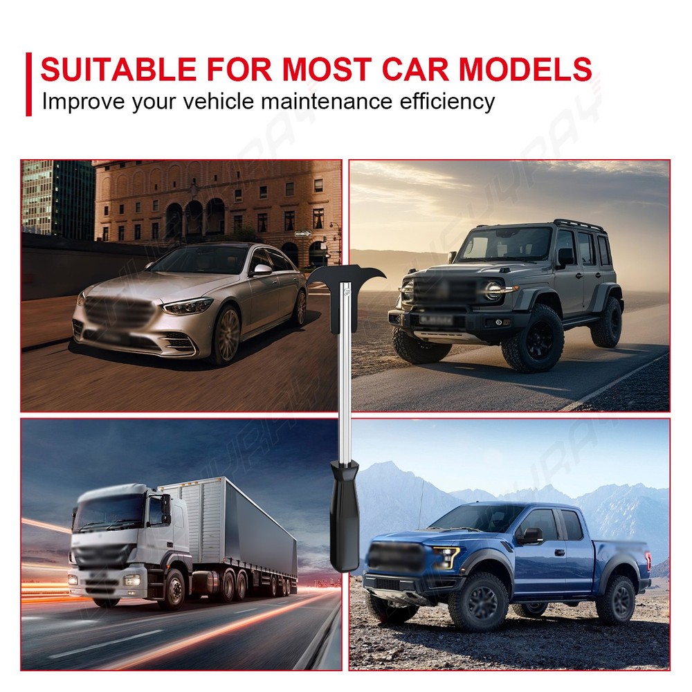 Dual Hook Oil and Grease Seal Puller Tool