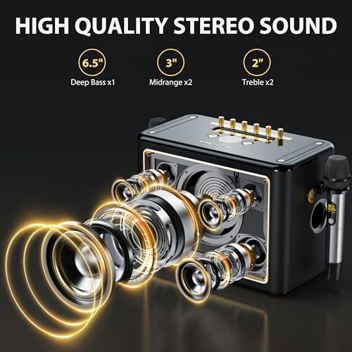 Karaoke Machine with 2 Wireless Microphones, Portable Bluetooth Singing PA