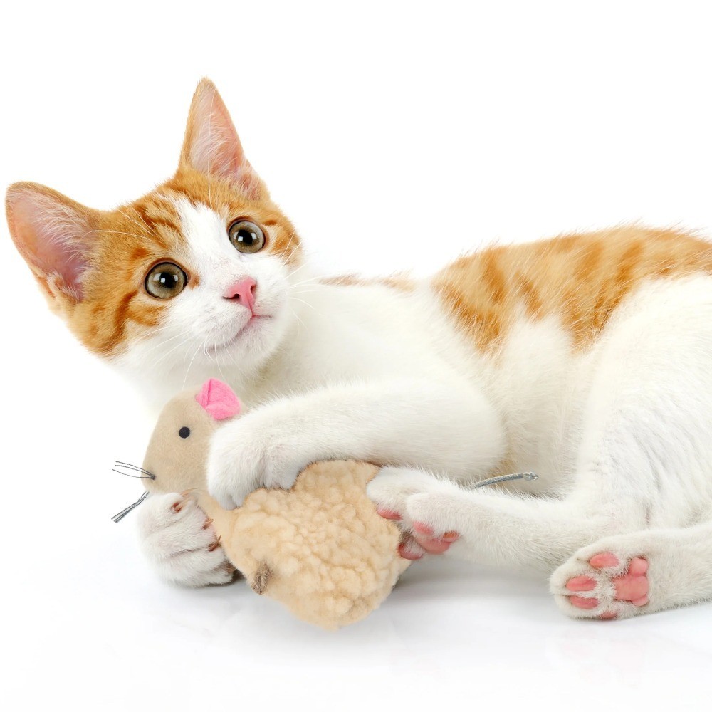 Refillable Catnip Plush Mouse Toy with String Tail for Cats Durable Soft