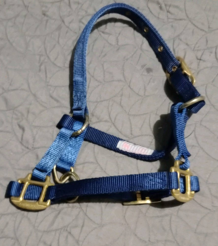Weaver Nylon Foal Halter, Navy Blue
