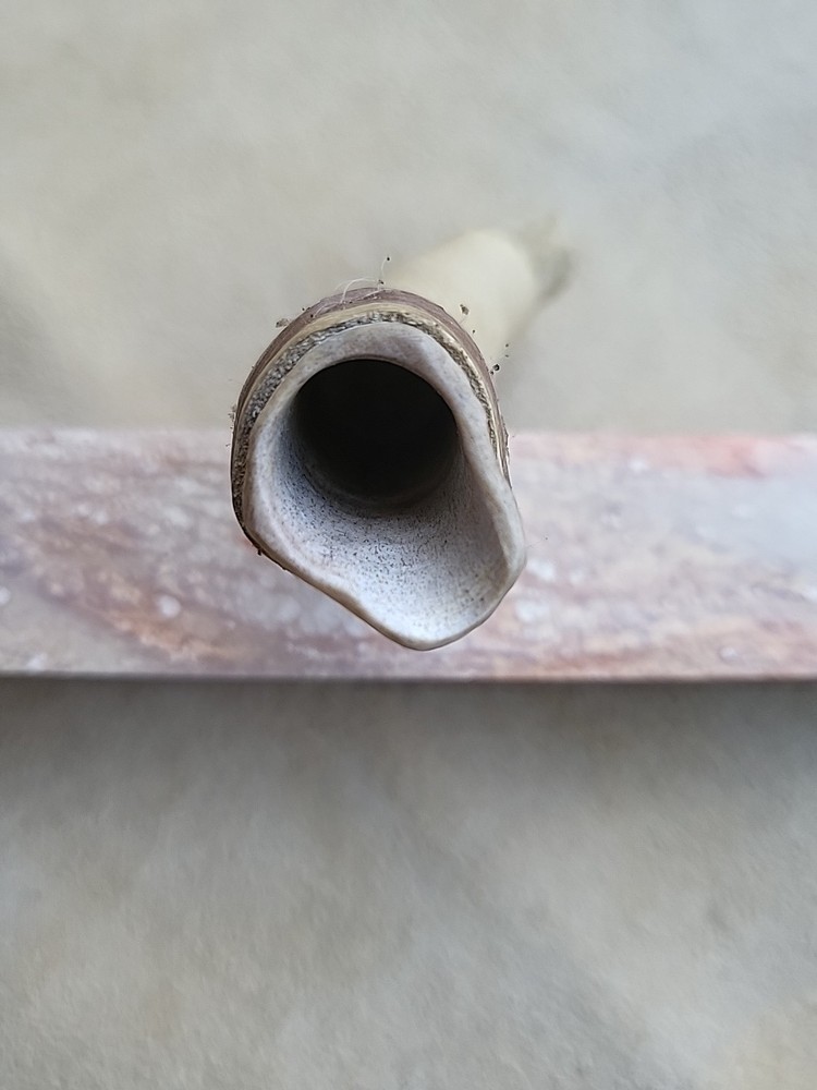 Black Powder Measure Deer Antler 35 grain muzzleloader