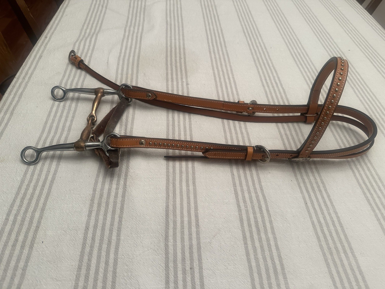 Vintage Champion Turf & Reins, Bridle leather Southwestern Style Silver Accent