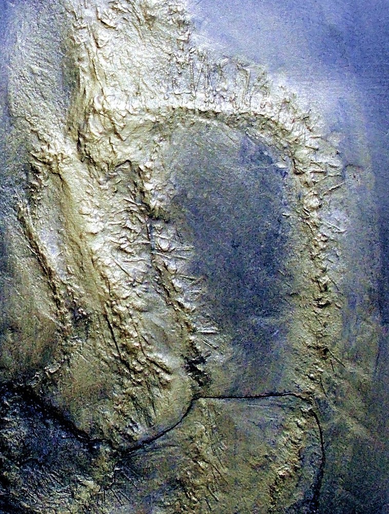 Rare, detailed 7cm complete Eospondylus primigenius : Dev. Bundenbach, Germany