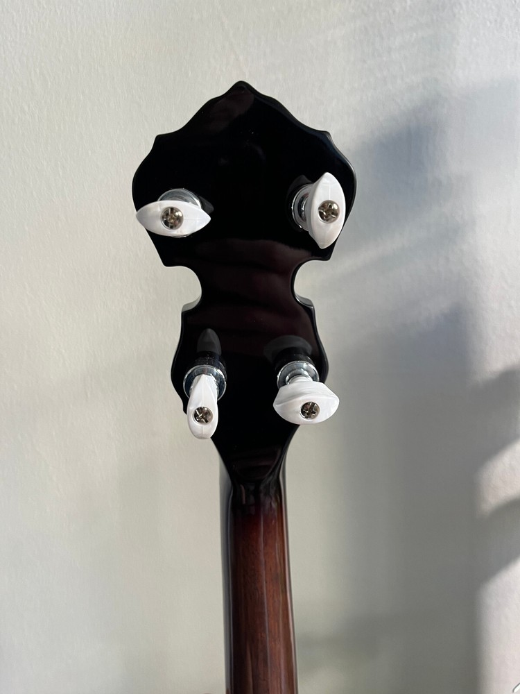 Banjo Hofner 5 String / 5 Strings