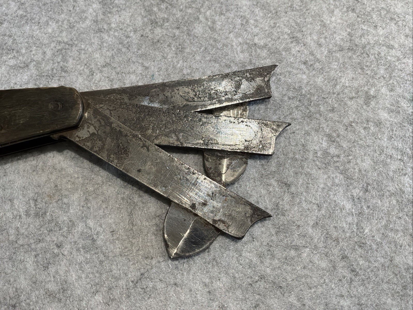 Vintage IXL George Wostenholm Celebrated Blood Letting Fleam Rare