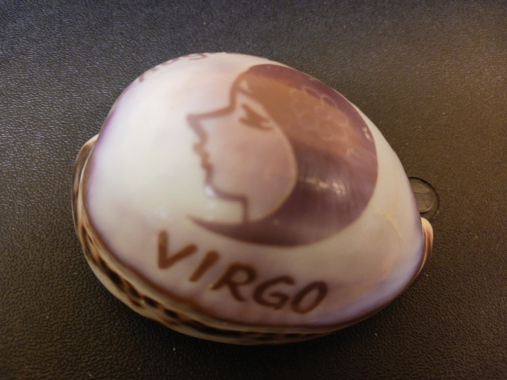 Virgo Seashell Decorative Zodiac Astrology Shell