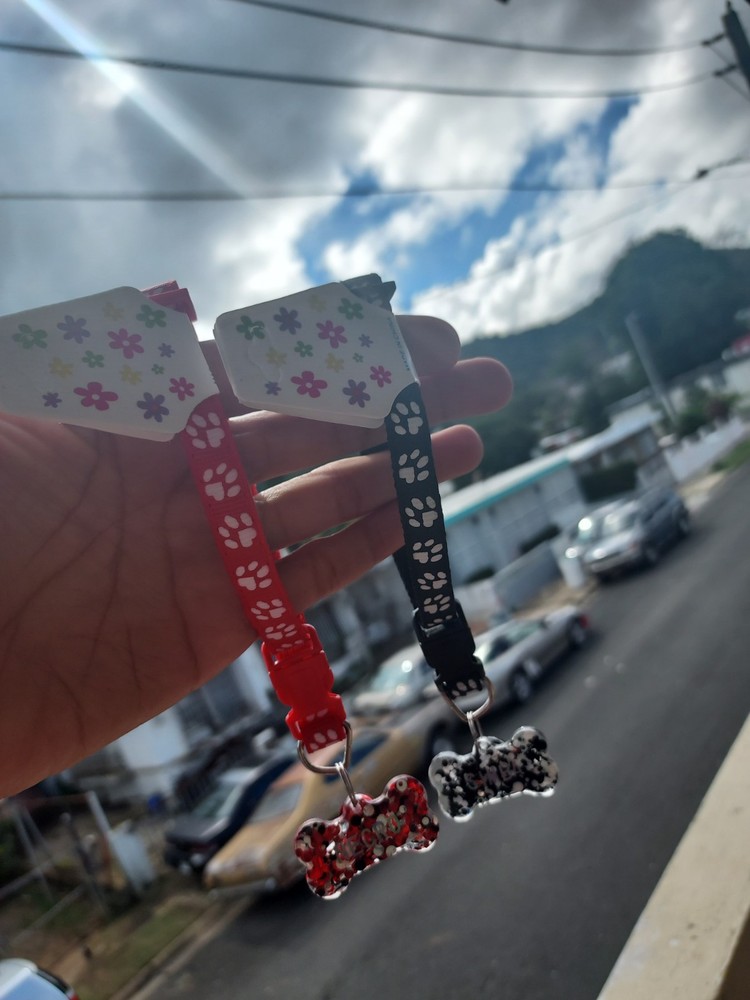 Collar personalizado para mascotas glitter