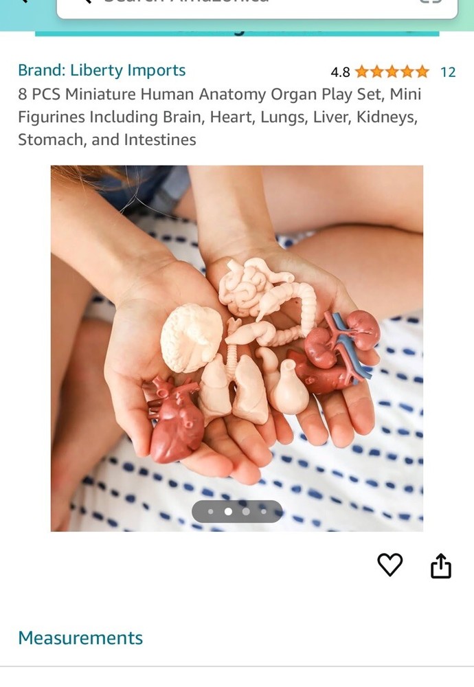 Aerospace Architecture: 8 Pcs Mini Human Anatomy