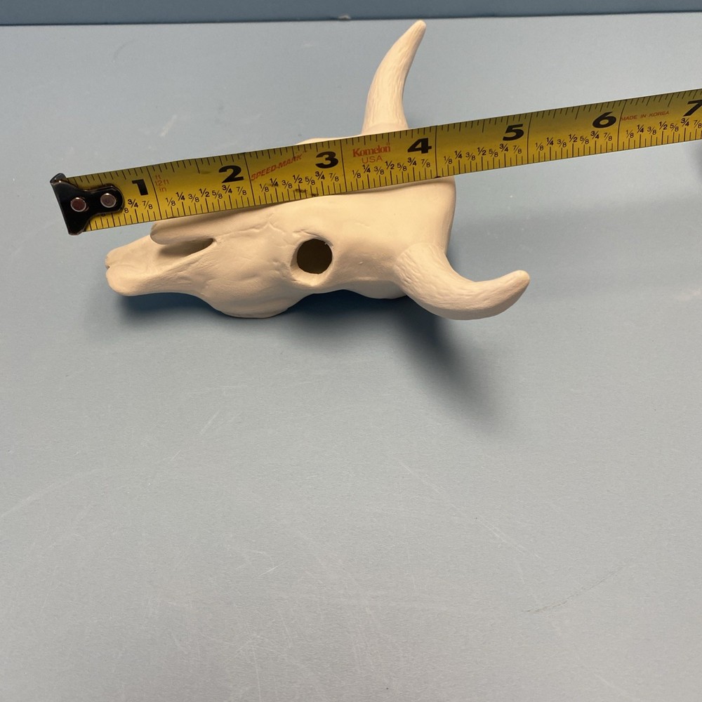 Ceramic Bisque Cattle Skulls Ready To Paint Your Ideas
