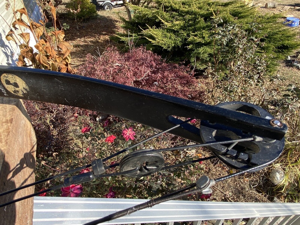 Bear Alaskan Compound Bow Heavy Draw Weight Beautiful Laminated Riser