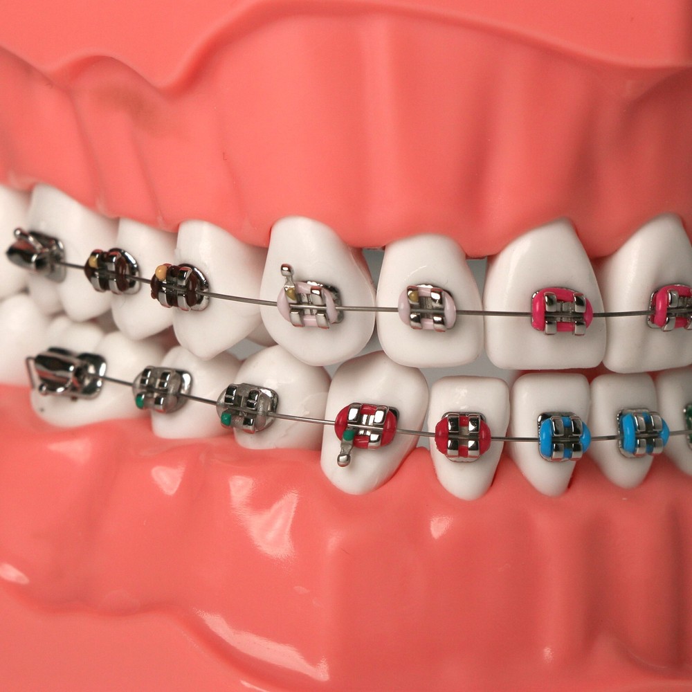 US Dental Typodont Demo Teeth Model1:1 Brushing Flossing Teaching Practice Study