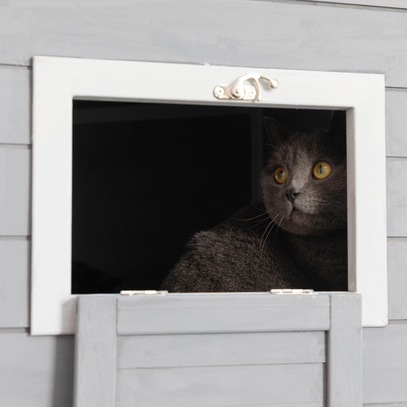 4-Tier Cat Playpen Outdoor Cat House Catio Enclosure with Resting Box, Platforms