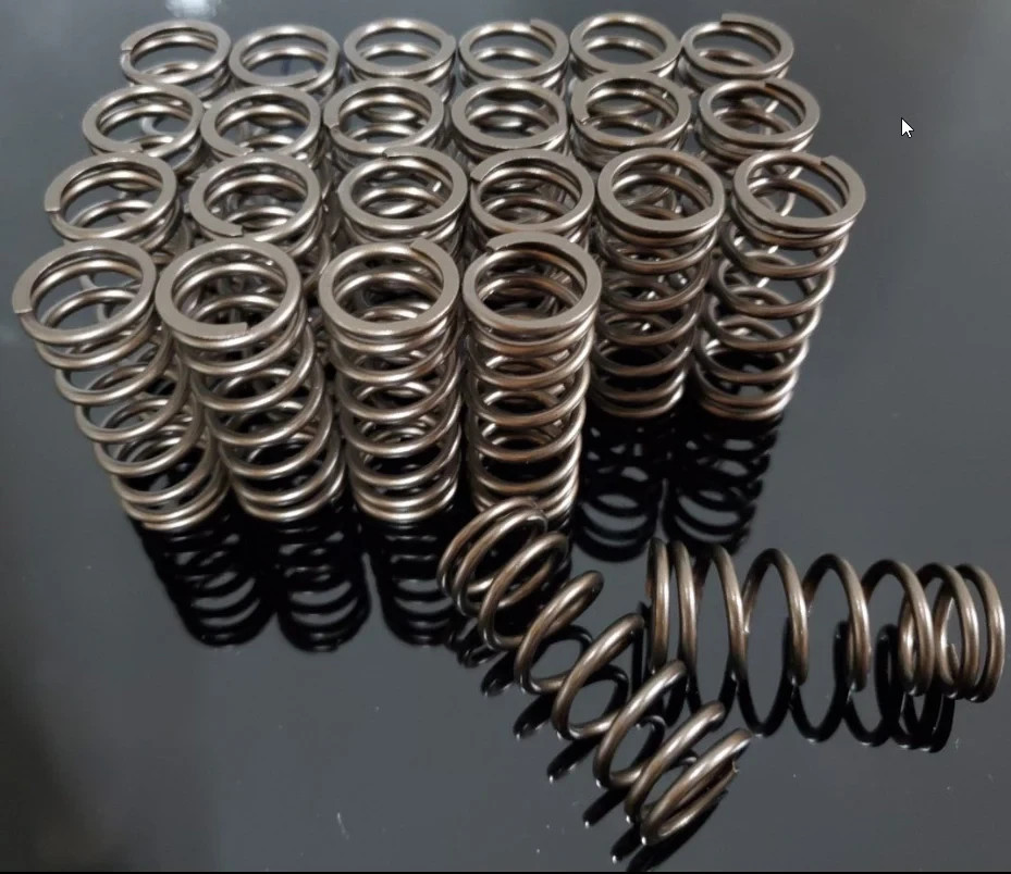 BMW M57 Santjer Performance Valve Springs