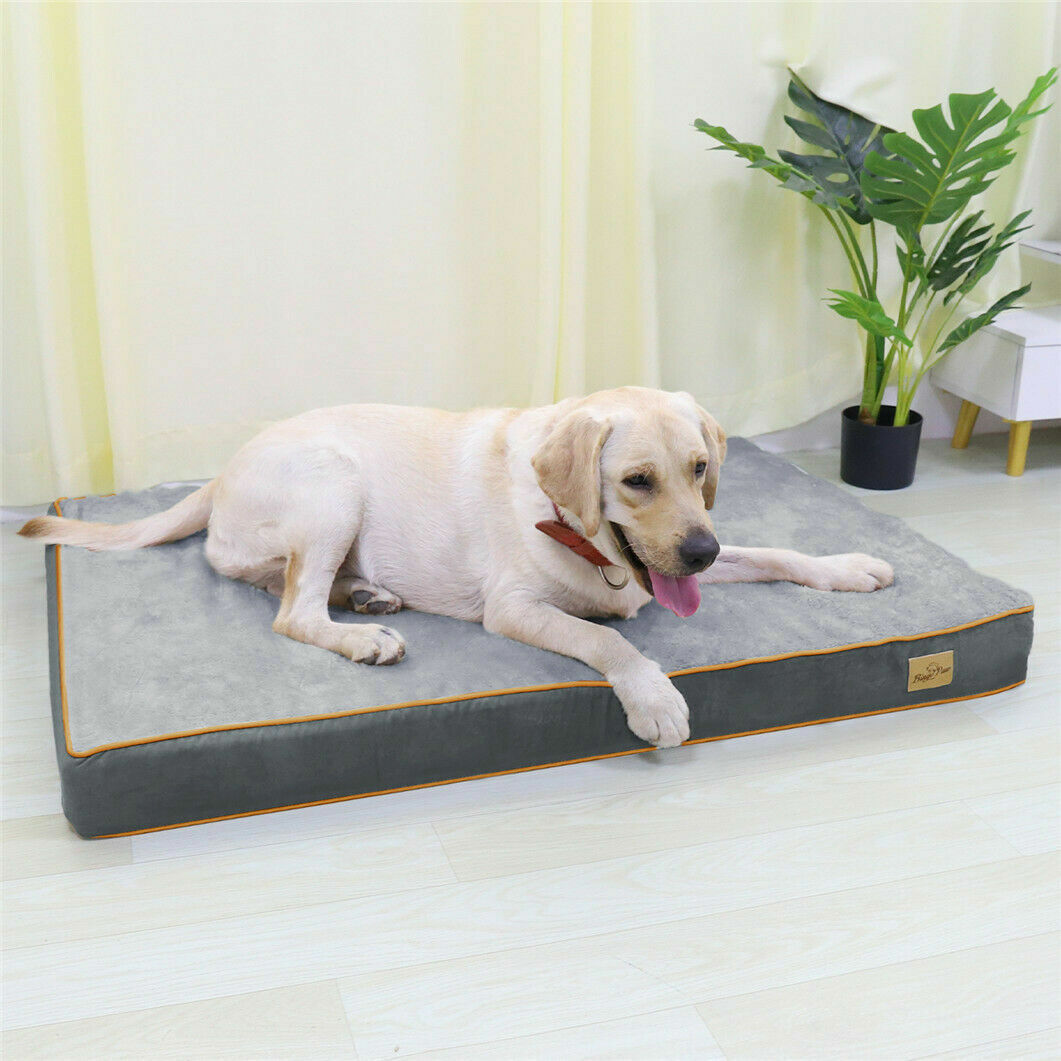 Thick Pillow Orthopedic Dog Bed Soft Foam Kennel Mattress Beautiful Stone Gray