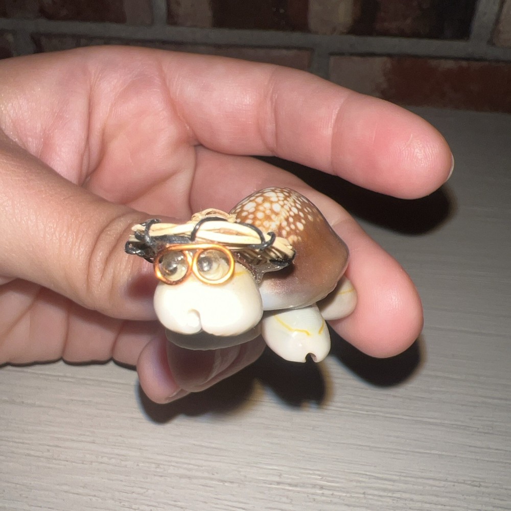 Cute Handmade Seashell Turtle with Wire Glasses Hat/Philippines
