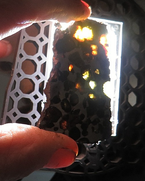 30 gm SERICHO pallasite Meteorite slice translucent from Kenya std olivine JAL