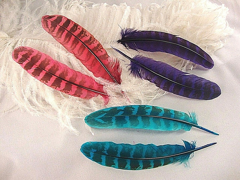Ringneck Hen Pheasant Wing Feathers - Mixed Dyed - 6 Pcs. - 5-8"