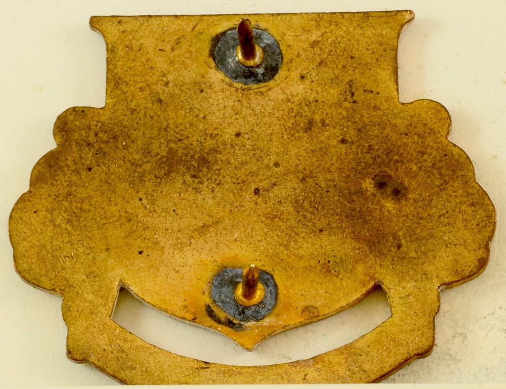 809th Engineer Battalion Crest DI/DUI CB