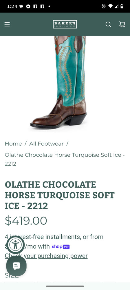 Olathe chocolate horse boots