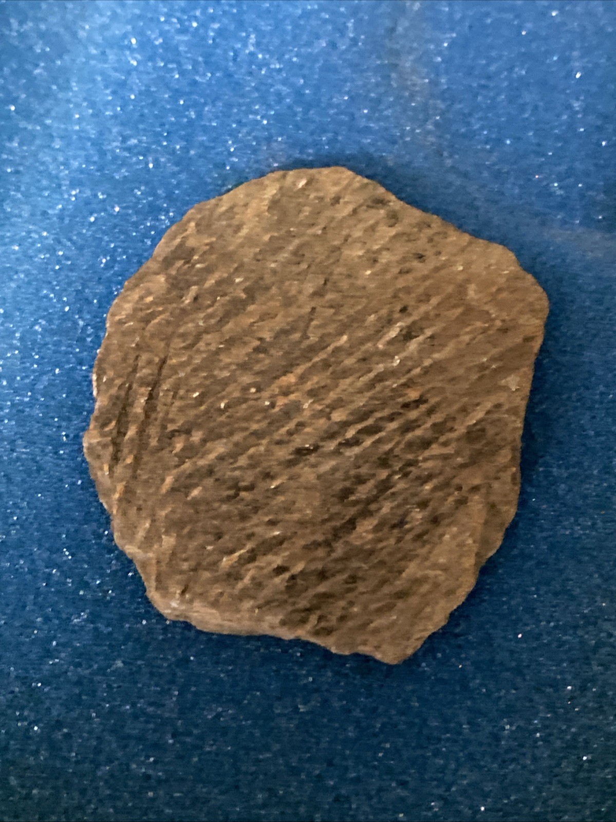 5-1/2” INDIAN ARTIFACT LERMA style BLADE FROM Mid Tn. Display Case & Pottery