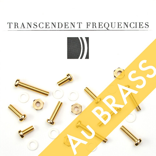 GOLD PLATED BRASS Cartridge Headshell Mounting Screws M2.6 Hardware turntable