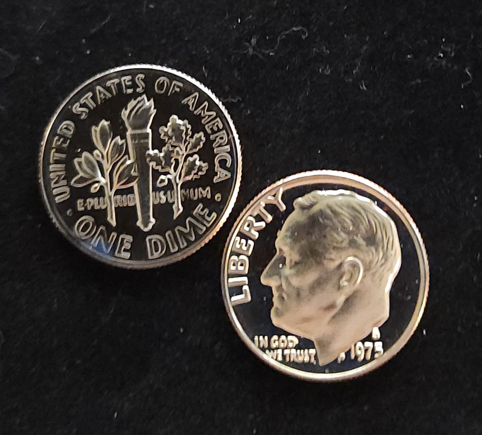 1975-S  Deep Cameo PROOF ROOSEVELT DIME Bright White FREE SHIPPING